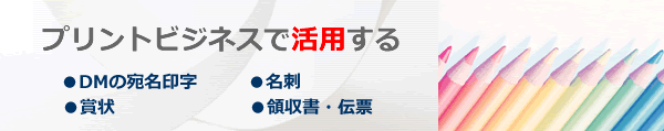 �v�����g�r�W�l�X�Ŋ��p����